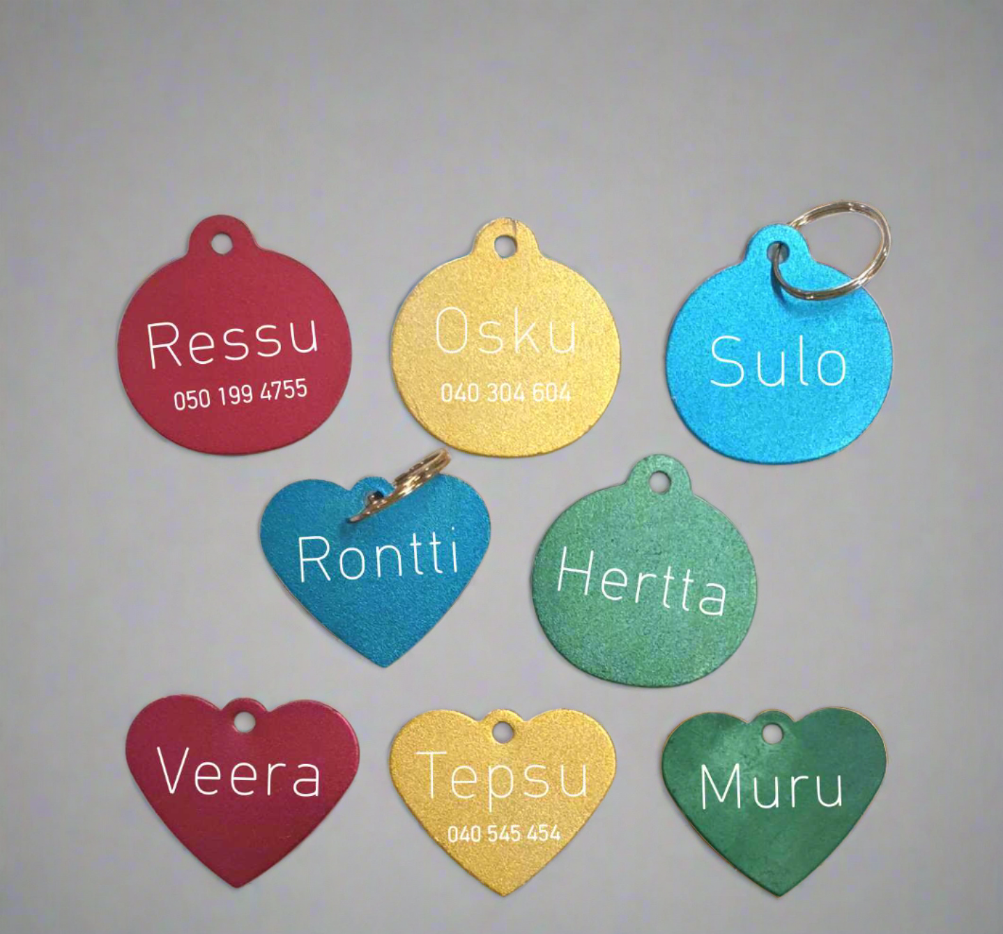 Lemmikin nimilaatta 1